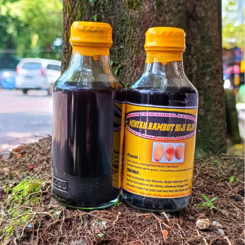 Obat Rambut Biji Ulin Minyak Penghitam Rambut