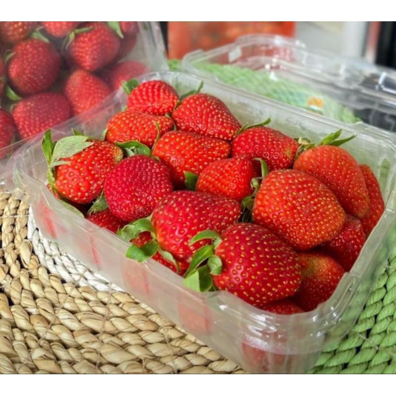 

STRAWBERRY BLUEBERRY strawberry bandung