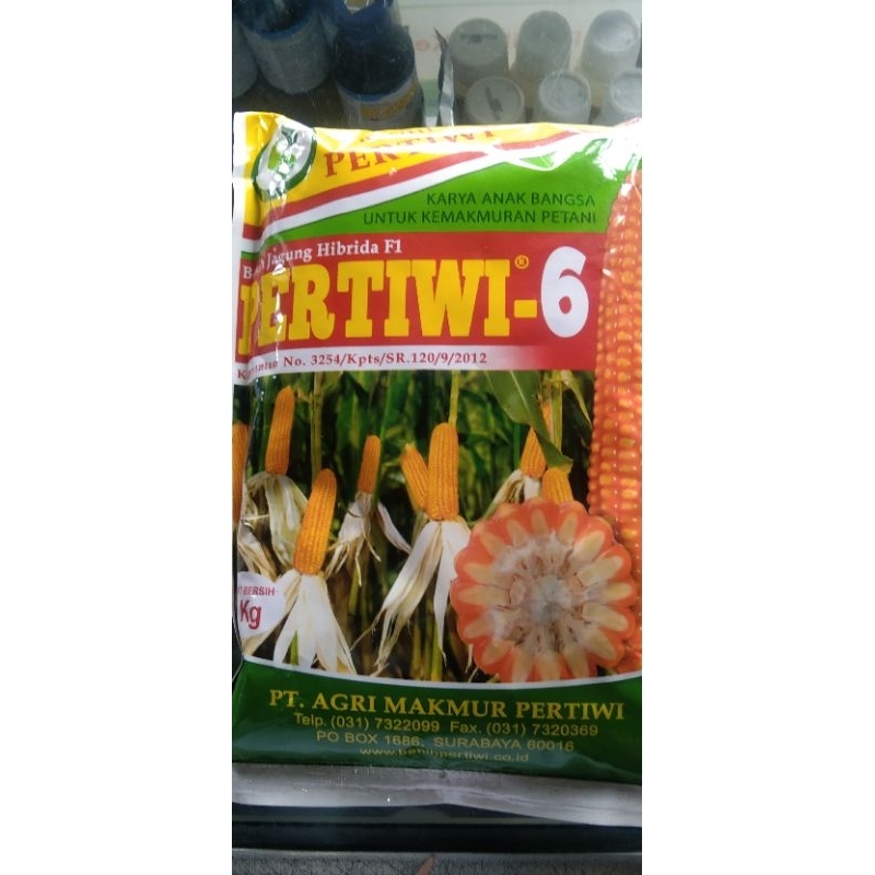 benih jagung PERTIWI 6