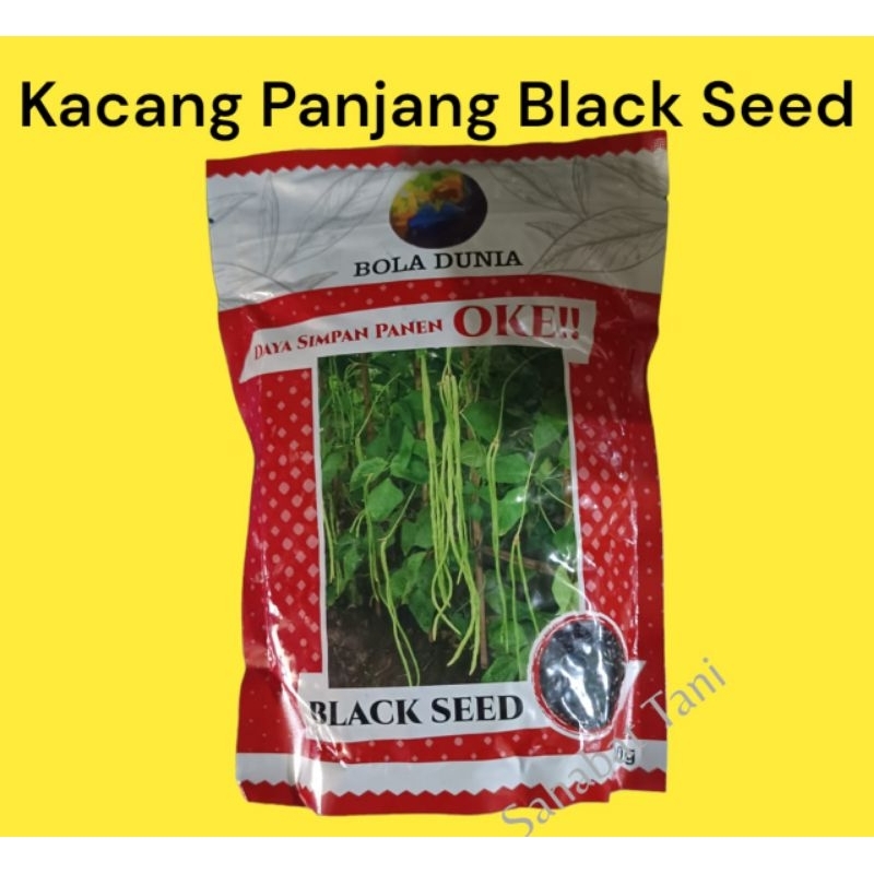 Black Seed Benih kacang panjang bola dunia global seed 500gr