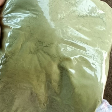 

TERBAIK BUBUK DAUN WIDURI HERBAL 1 KG