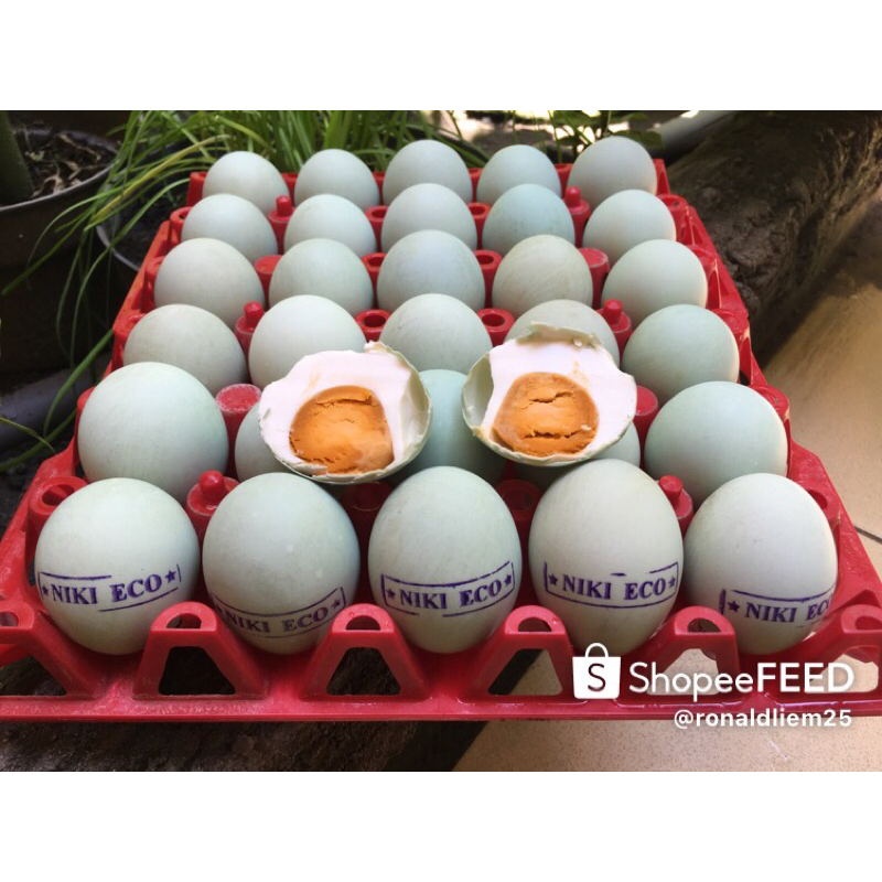 

Telur Asin Niki Eco 1960