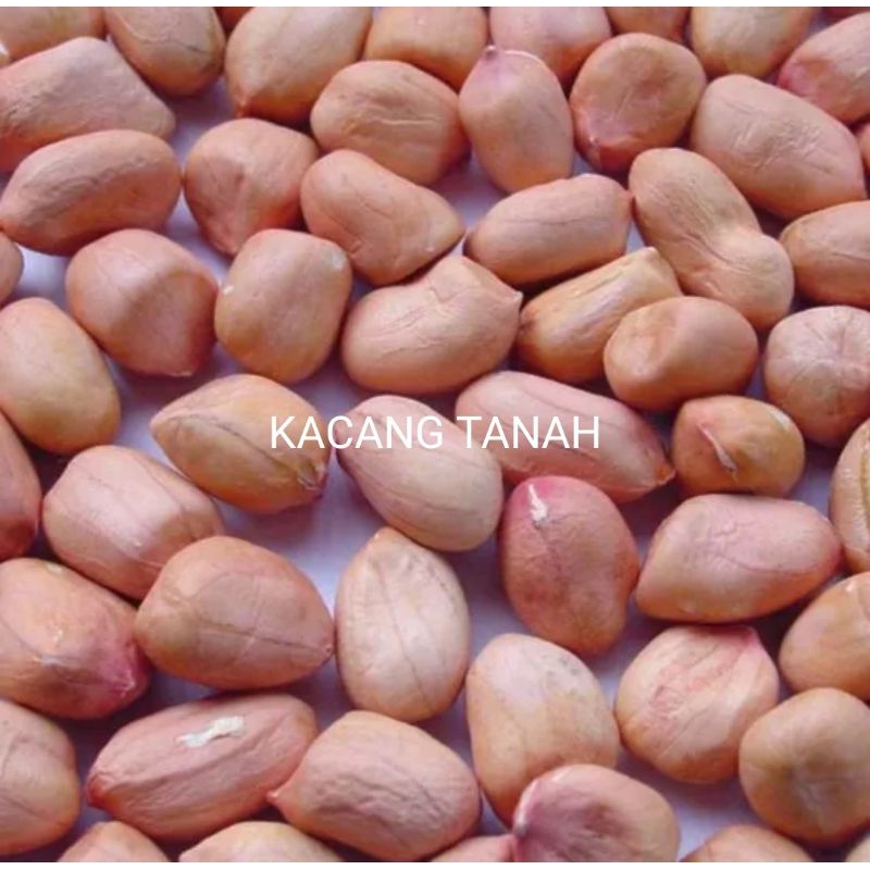 KACANG TANAH 1 KG.