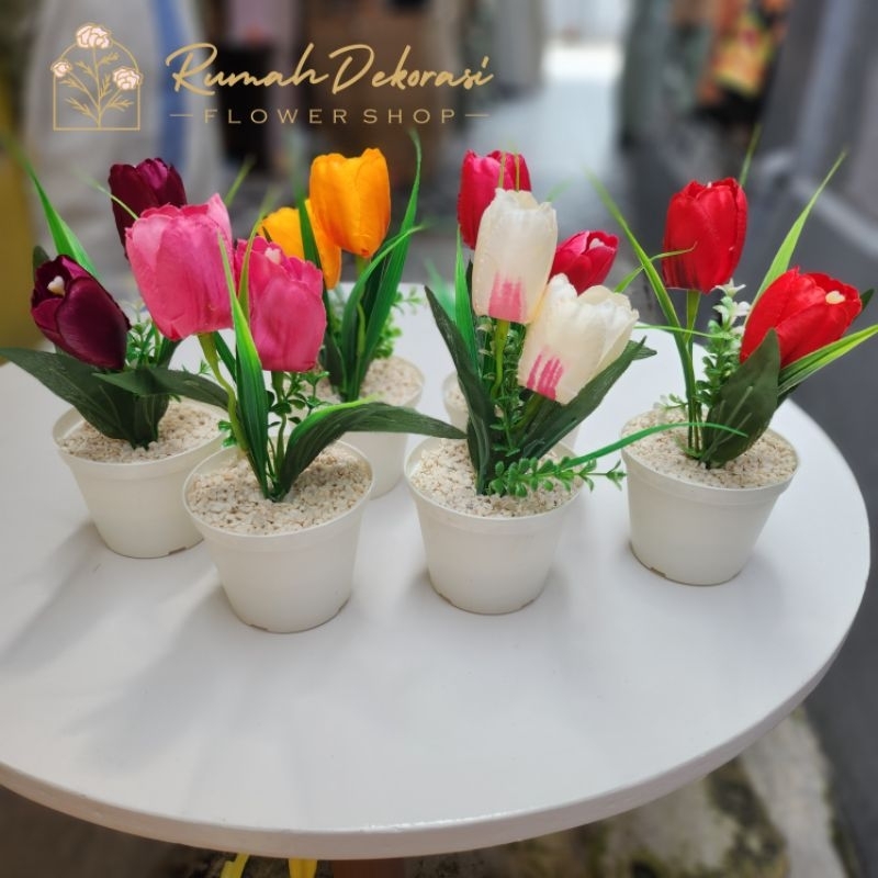 Bunga Tulips (2 kuntum) + Pot