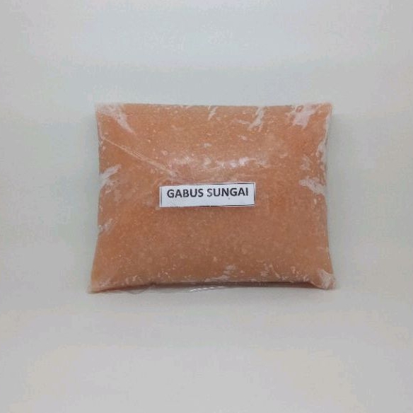 

IKAN GILING GABUS SUNGAI