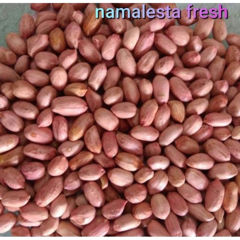 

kacang tanah-namafresh