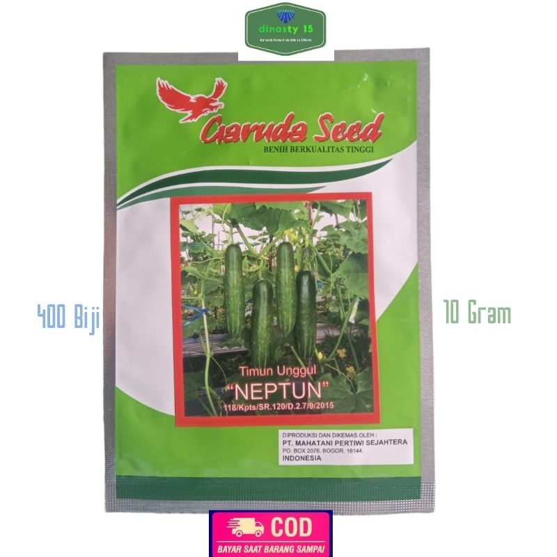 Benih Timun Hijau Neptune 400 Biji 10 Gram Bibit Timun Hijau Bibit Timun Benih Timun