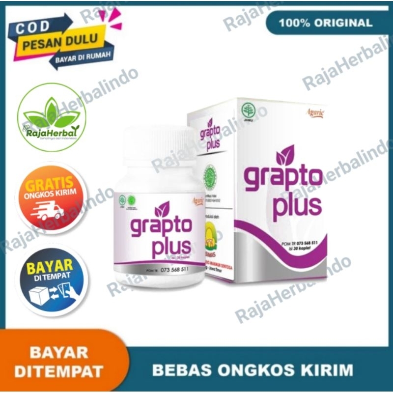 Grapto Plus Obat Herbal Ambeien Akut Ambien- Grapto Wasir Ampuh 100%