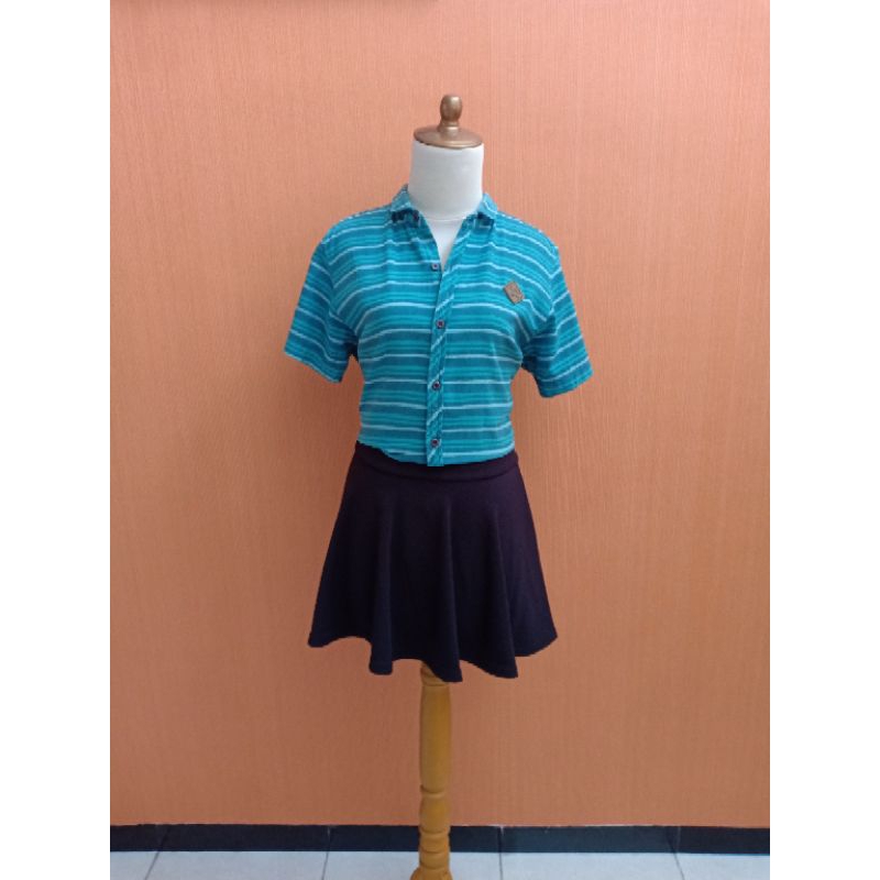 atasan kemeja wanita biru salur biru BROTHER BROSS cewek L lengan pendek flanel kerja kantor kuliah
