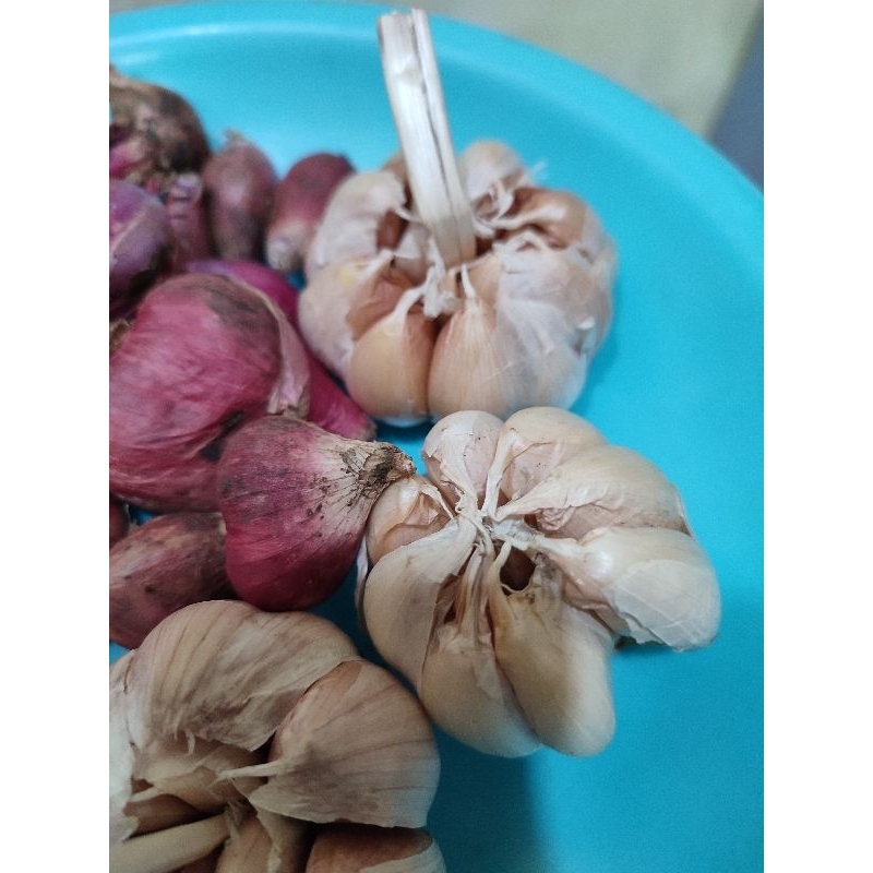 

BAWANG MERAH DAN BAWANG PUTIH MURAH