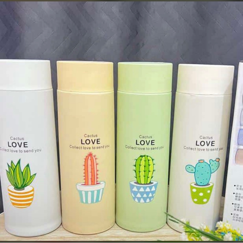 Sovenir tumbler kaca kaktus