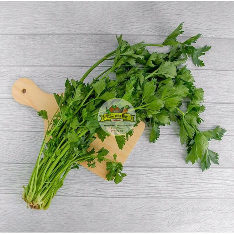 

Daun Sledri ~ Per ikat
