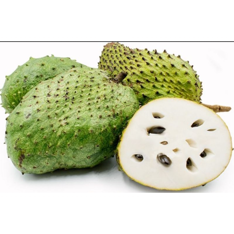 

BUAH SIRSAK FRESH MENGKEL/MATANG ISI 1-2KG