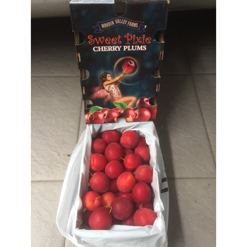 

Cherry Plum Sweet Wandin Valley Farms 1 Dus (2 Kg) Fresh Import