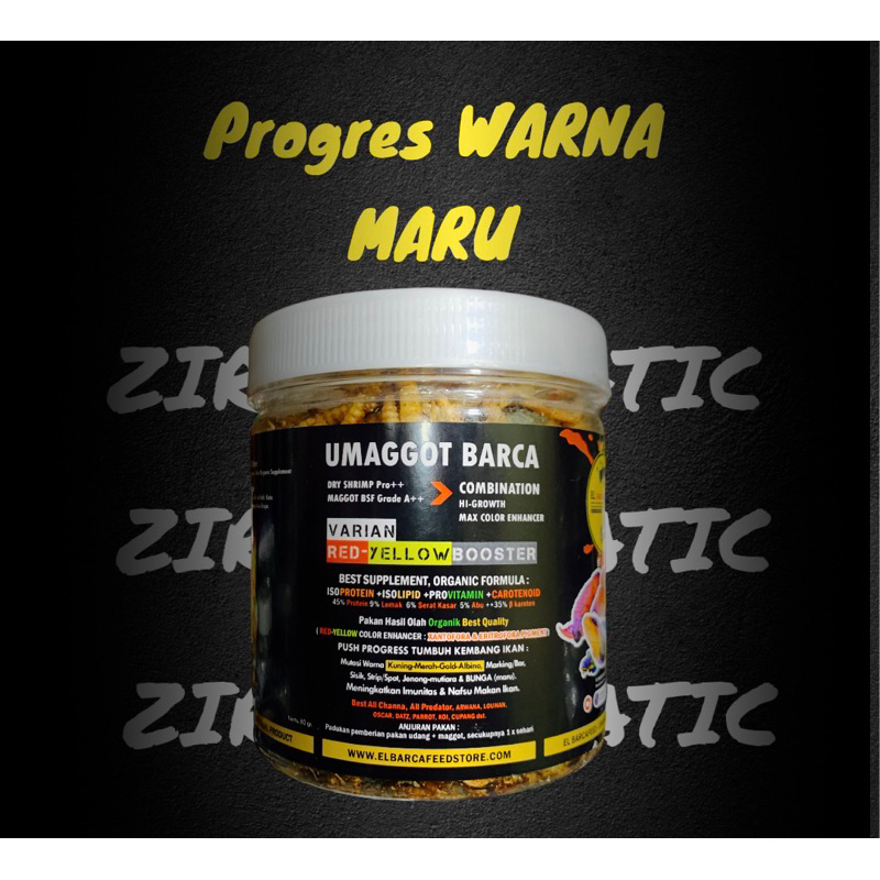 MANGGOT PRO YELLOW DAN RED CHANNA