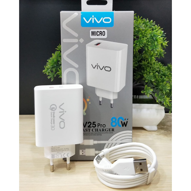 Travel Charger Vivo V25 Pro 80watt Micro Dan Type C Super fast Charging Promo Sen