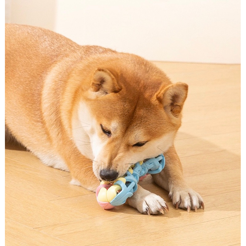 Lightning and ringing junko pastel rubber chewing bone