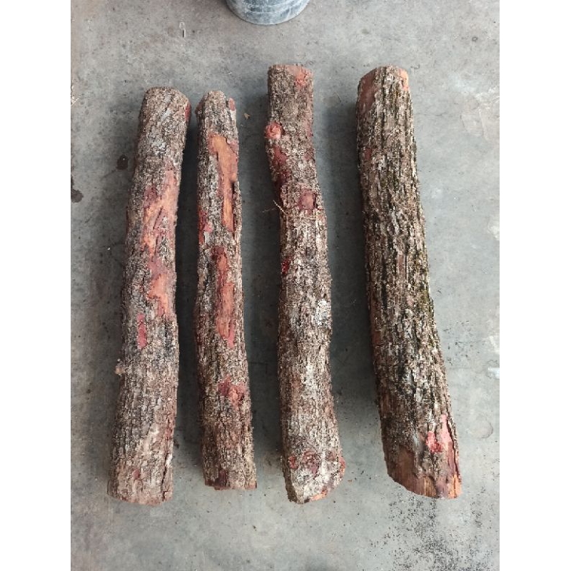 jual bahan kayu stigi panjang 55-60cm