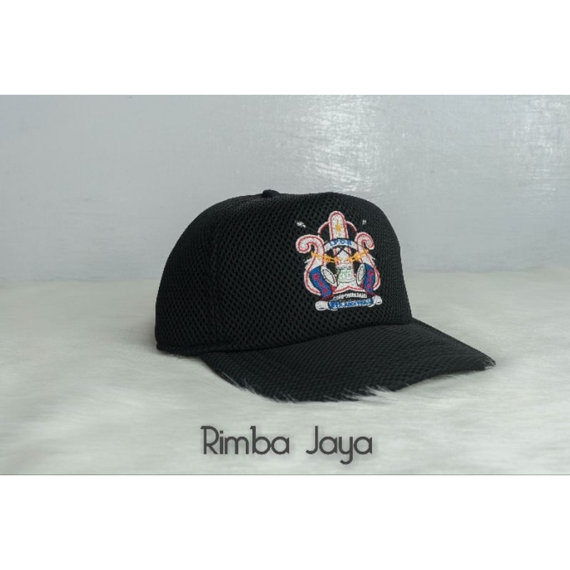 TOPI GAP IPDN
