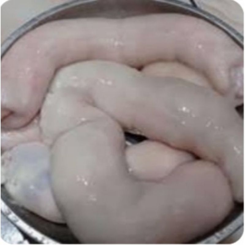 

Daechang Usus sapi Besar Makanan Korea 1kg