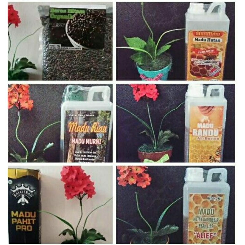 

Madu Randu 1kg, Madu Gholiban 1kg, Madu Alif 1kg