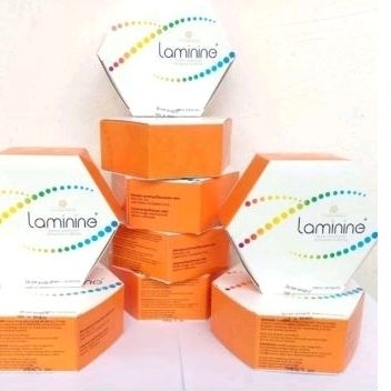 laminine stemcell isi 30kapsul