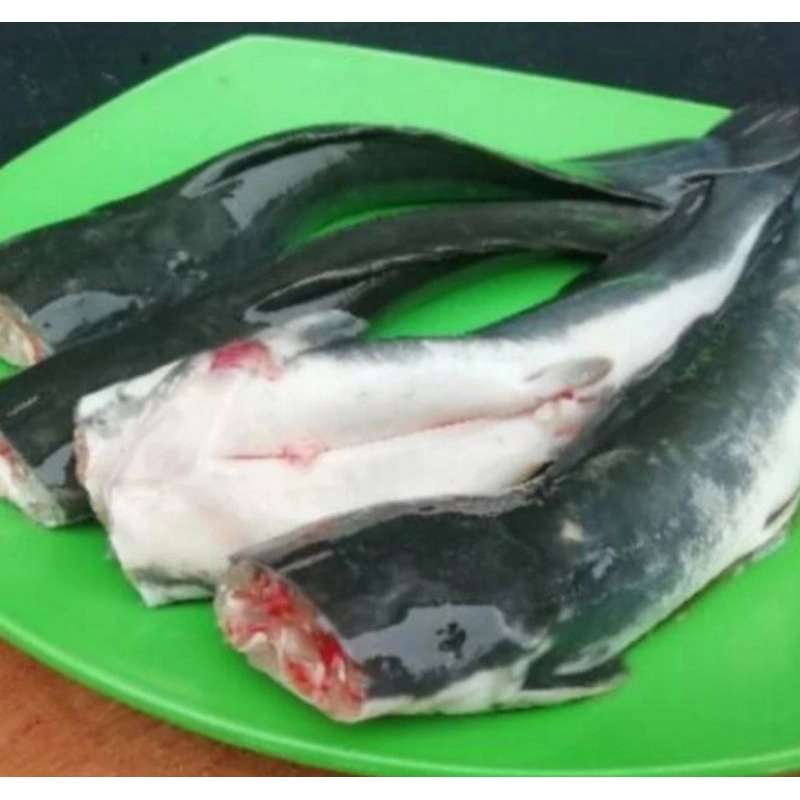 

ikan lele segar sedap 1000 gr