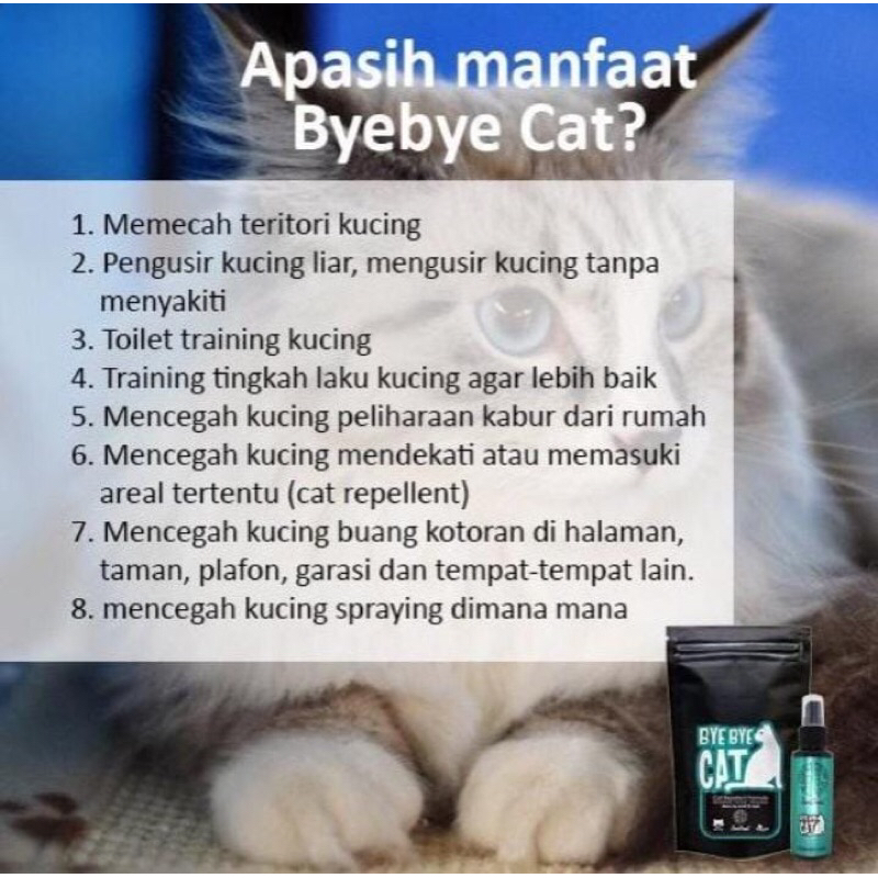 Alat Pengusir Kucing Liar Bandel Bye Bye Cat (Gel Natural Non Pestisida)