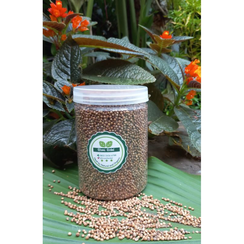 

Ketumbar Organik /Tumbar Hitam utuh untuk detox Rahim kolesterol,peredaran darah