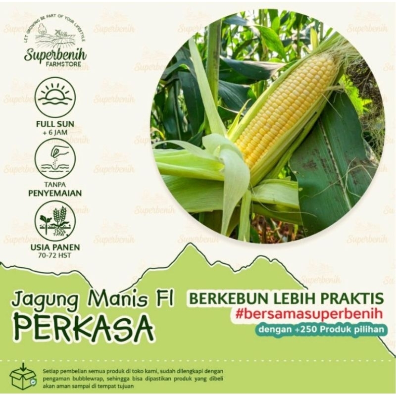 15 seeds Bibit Benih Jagung Manis F1 BONANZA