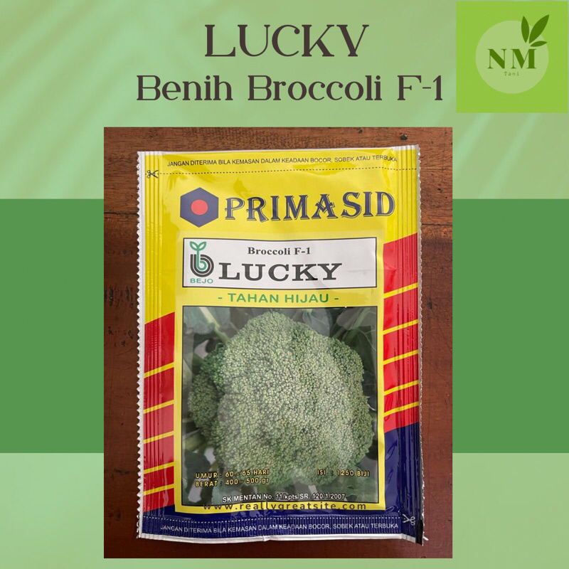 Benih Brokoli Lucky