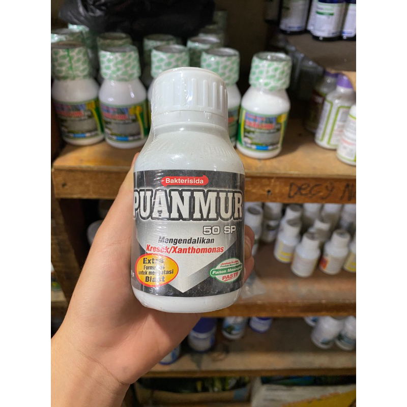 Bakterisida puanmur 50SP isi 100gram