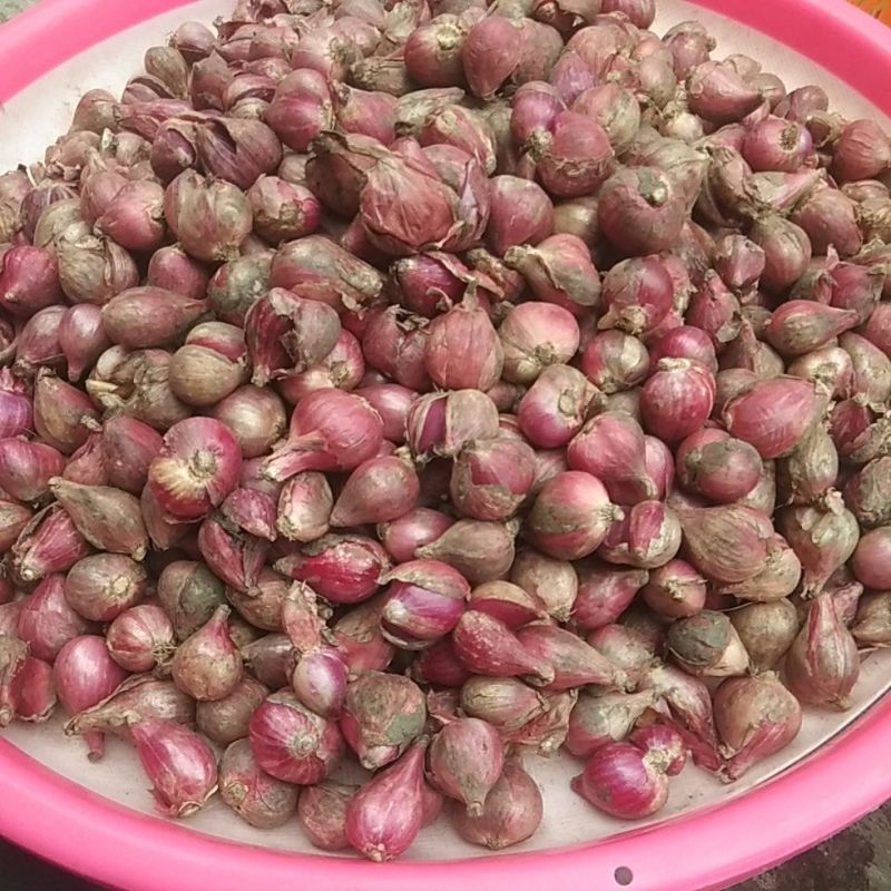 

Bawang Merah Brebes super 1kg