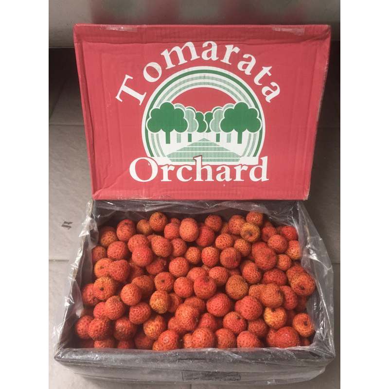

Leci / Lycee Australia (5 KG) Fresh Import