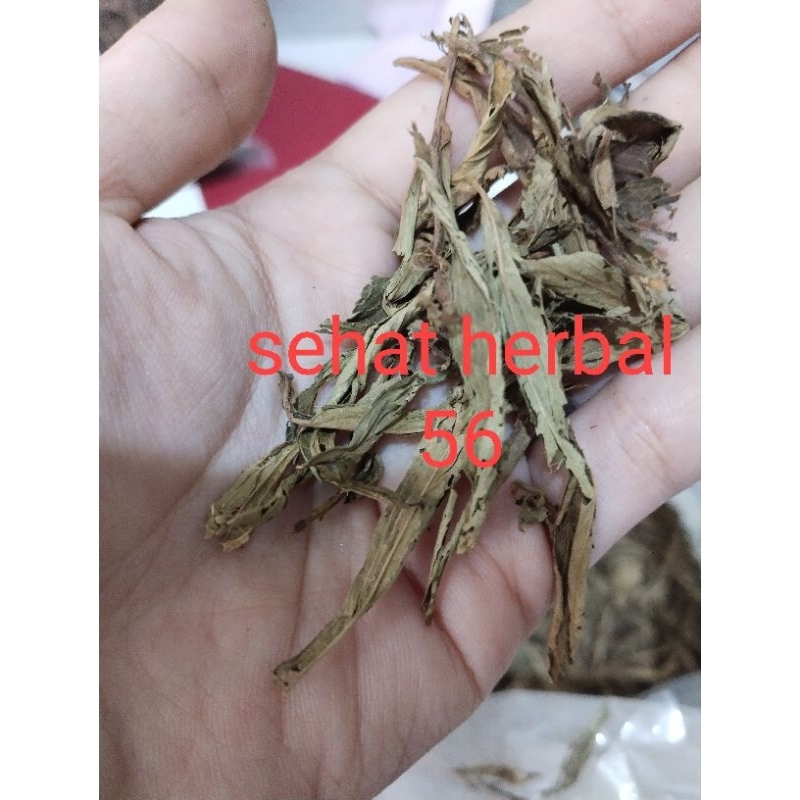 

Daun Stevia 50gram/daun stevia manis kering/Dried stevia Leaf Tea