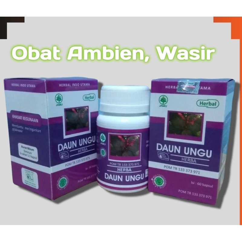 Kapsul Daun Ungu - Daun Ungu - Obat Wasir - Kapsul Obat Ambien