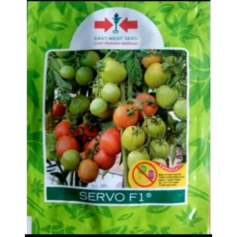 Benih bibit Tomat Servo F1 1750 biji