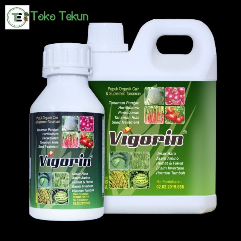 VIGORIN (Asam Amino)