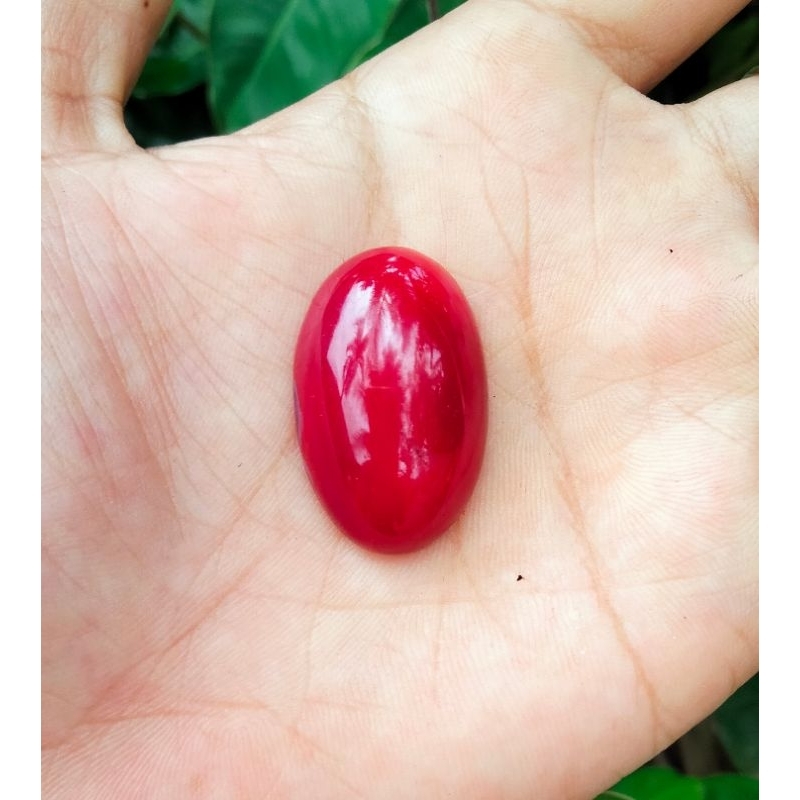 batu rubah merah oryginal banyuwangi