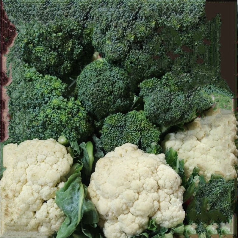 

Brokoli ijo dan putih 500 gr
