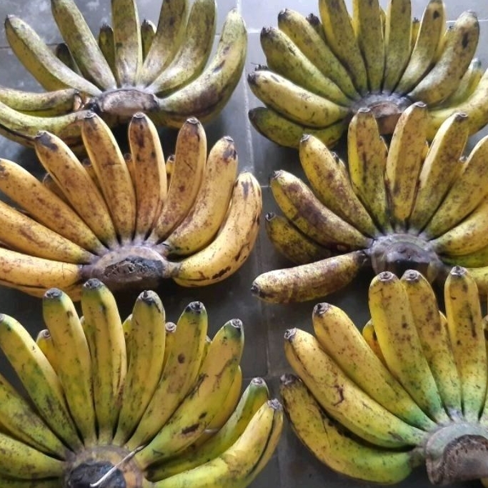 

Pisang Barangan Medan 1 Sisir