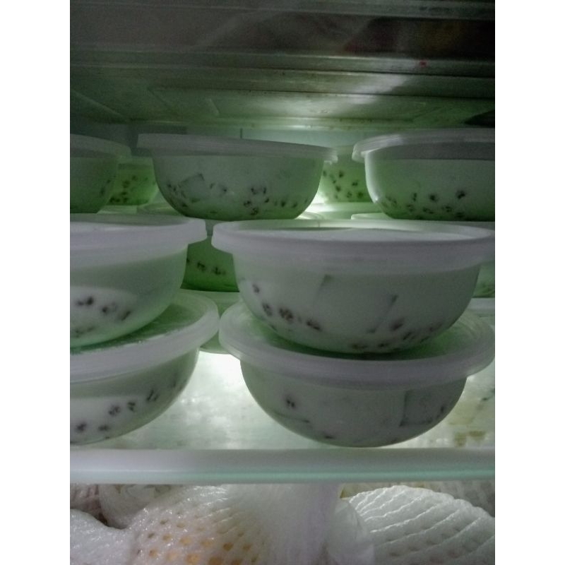 10 Paket Buko Pandan 200ml