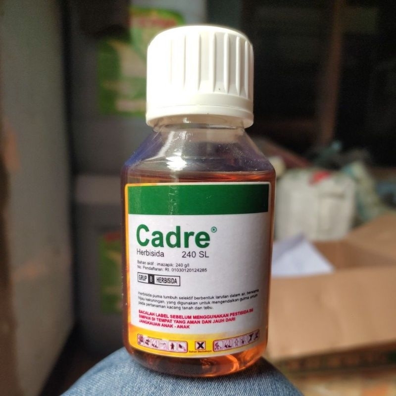 Herbisida Cadre 240 SL 100 ml Herbisida Selektif Kacang Tanah Dan Tebu