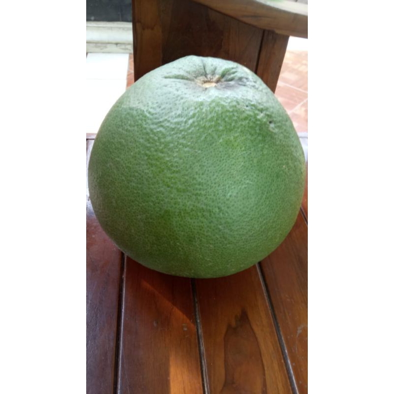 

JERUK BALI PAMELO