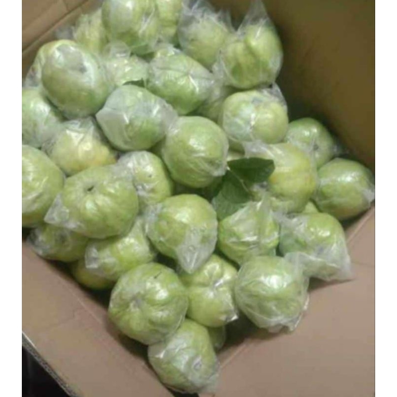 

jambu kristal