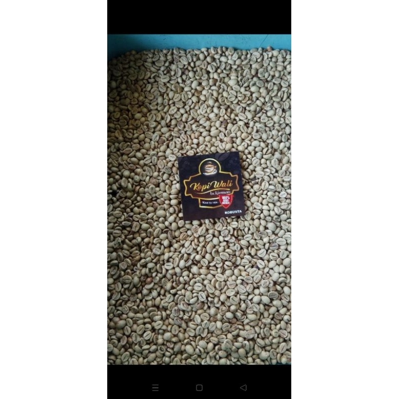 

green Bean robusta ( biji robusta )