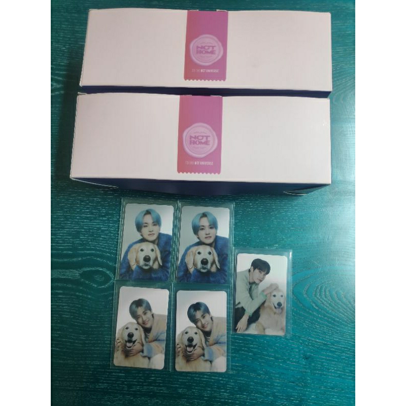 Fullset Binder Fatcaron Macaron Photocard NCT home exhibition PC Jaehyun Jaemin Jeno Mark