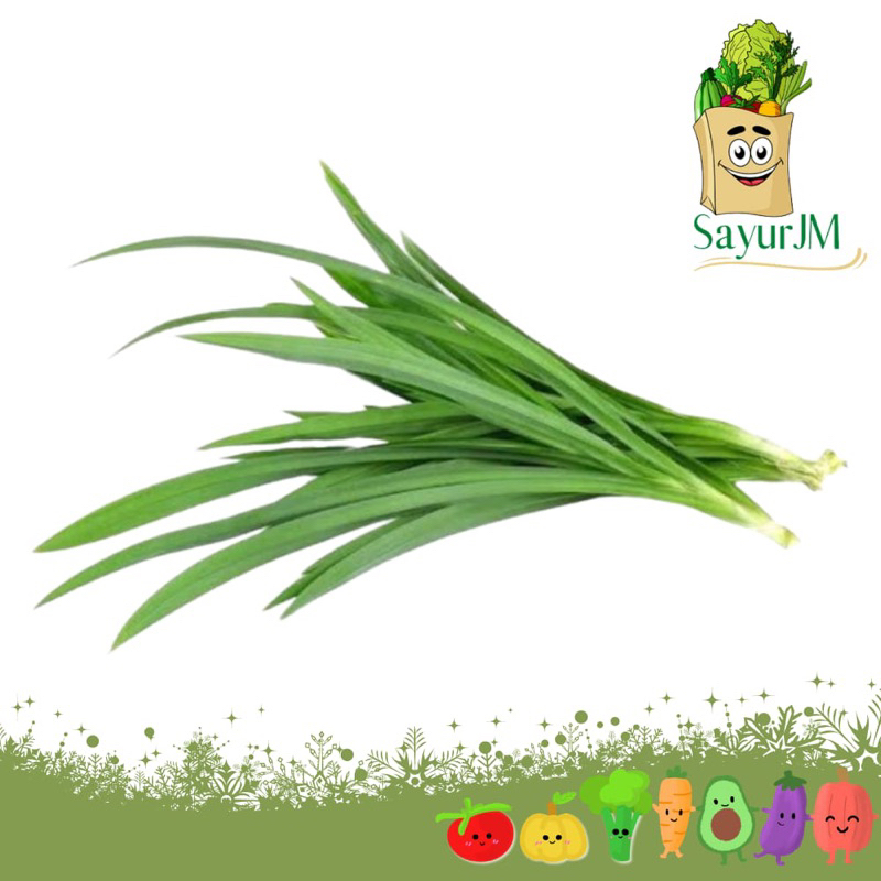 

SayurJM Daun Pandan Wangi / Sayur Segar / Sayuran Segar