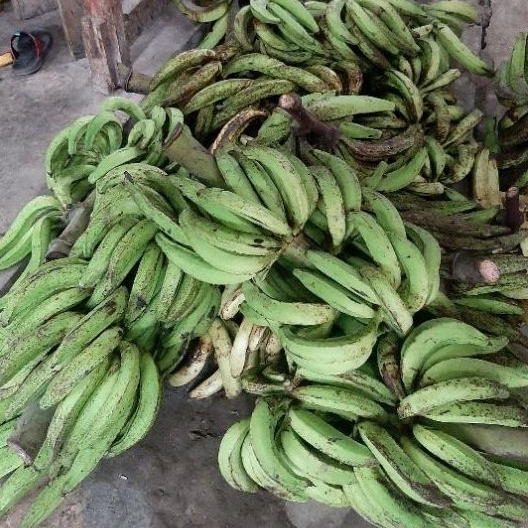 

PISANG BAWEN MENTAH 1Kg