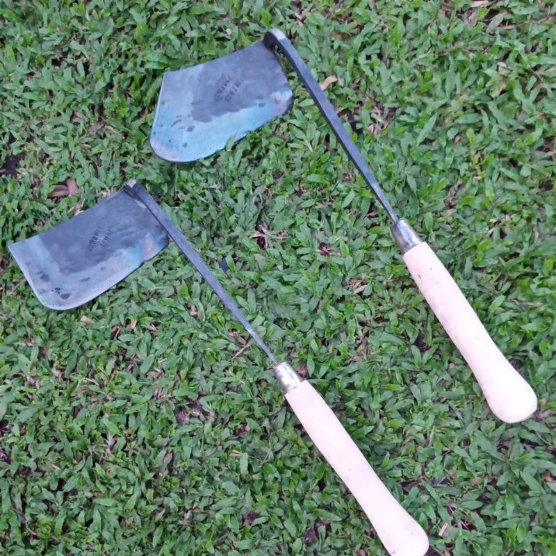 TENGKUIT KIKIR ASLI_ BABAT / OMBANG AMBING BAHAN BAR CHAIN SAW